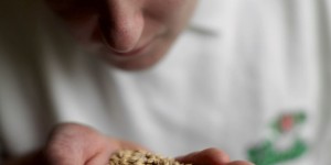 Holland Malt realiseert eerste emissievrije mouterij ter wereld in Eemshaven